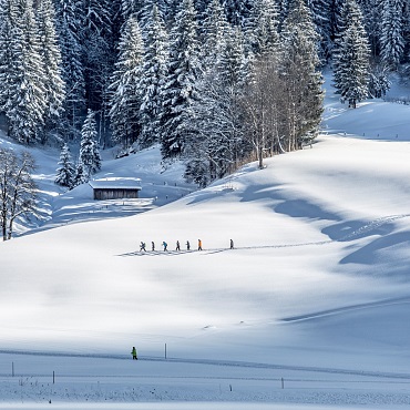 Schneeschuwandern in Tirol®rol.art-images_TVB-Pillerseetal-5