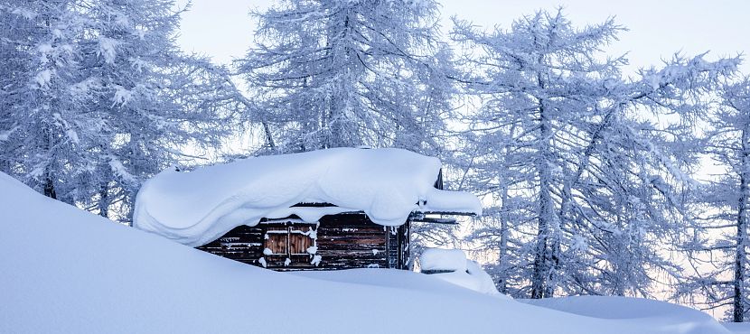 Mit Jäger Harry im Winterwald
