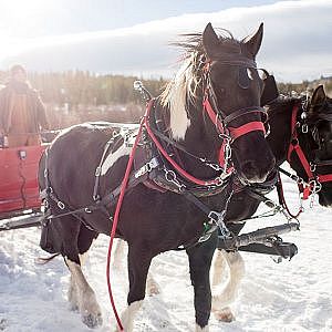 photo-1610566294797-2579b4f83126-3b9610f7