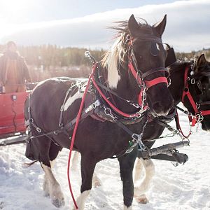 photo-1610566294797-2579b4f83126-3b9610f7