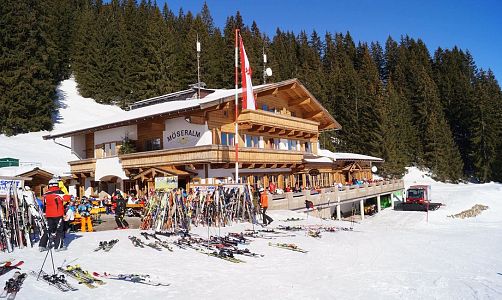 waidring-moeseralm-moeseralm-im-sommer