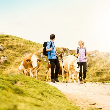 Hiking in the Kitzbühel Alps