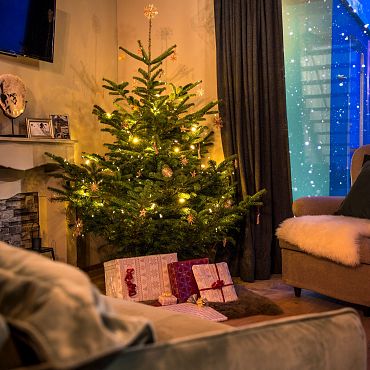 Weihnachten in den Bergen Alpegg Chalets Christbaum im Chalet