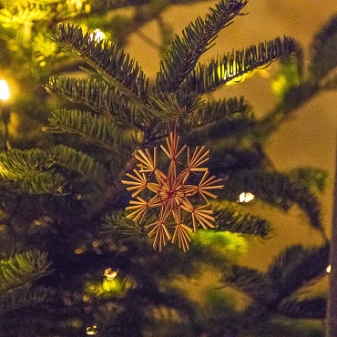 Weihnachten in den Bergen Alpegg Chalets Christbaum im Chalet